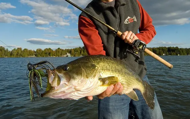 Bass fishing tackle wholesale